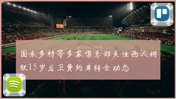 国米多特等多家俱乐部关注西汉姆联15岁后卫费约库转会动态