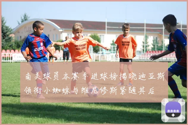 南美球员本赛季进球榜揭晓迪亚斯领衔小蜘蛛与维尼修斯紧随其后