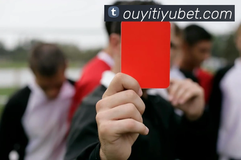 App Interface Preview